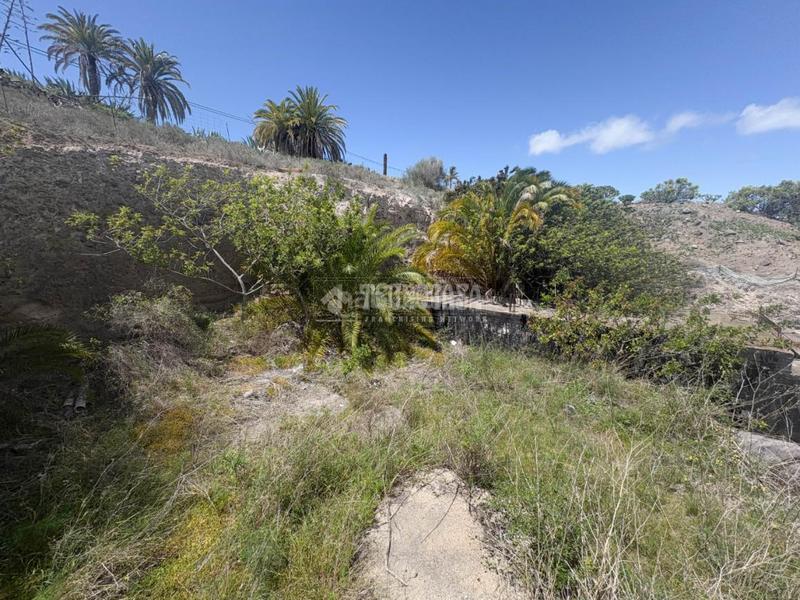 Foto ac1aa51b-56fd-4553-9224-deda45da58d5. Wohngrundstück in Almatriche Palmas de Gran Canaria (Las)