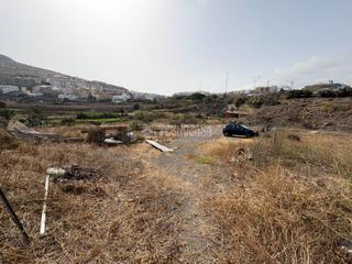 Finca rstica en Almatriche. Terrenos en venta en las palmas de gran canaria