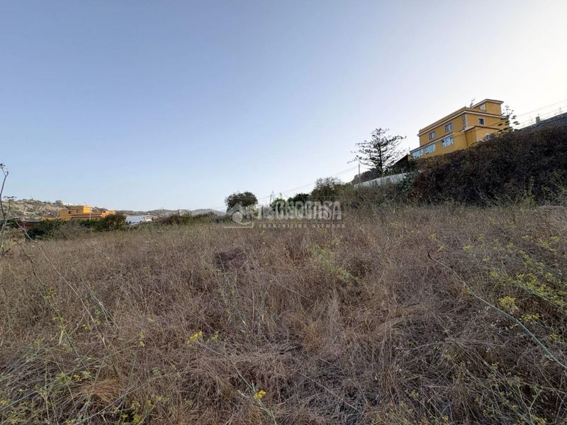 Foto 24e93952-1483-42a0-8606-bb682755c6a9. Finca rústica a Las Mesas - El Toscón Palmas de Gran Canaria (Las)