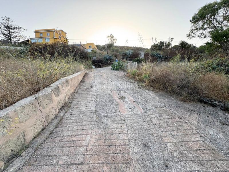 Foto 29e39e6a-8cc7-4322-8b3d-38e69be51f32. Finca rústica a Las Mesas - El Toscón Palmas de Gran Canaria (Las)