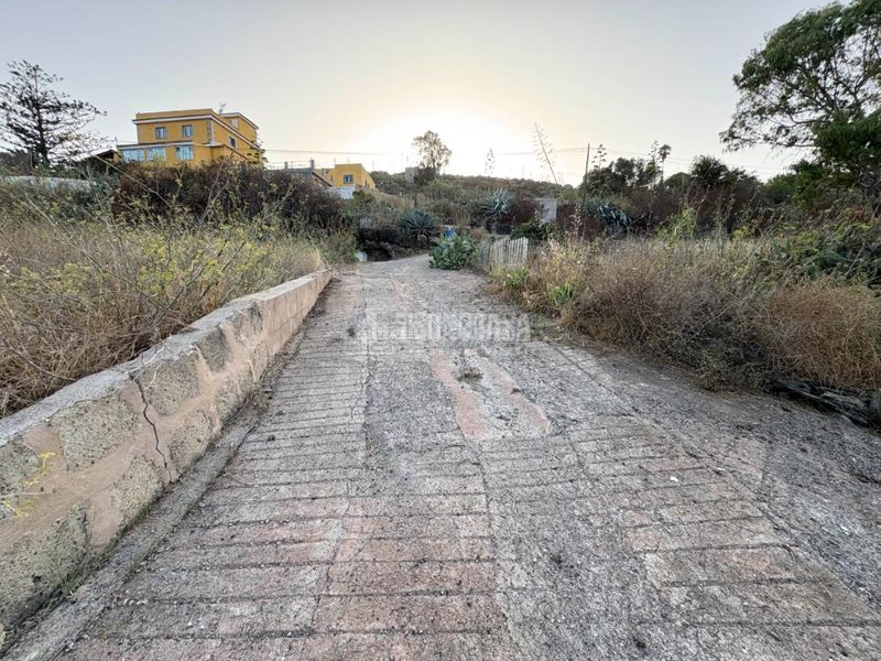 Foto 3747c4e5-a24c-4955-b766-b8558fa6a7be. Finca rústica a Las Mesas - El Toscón Palmas de Gran Canaria (Las)