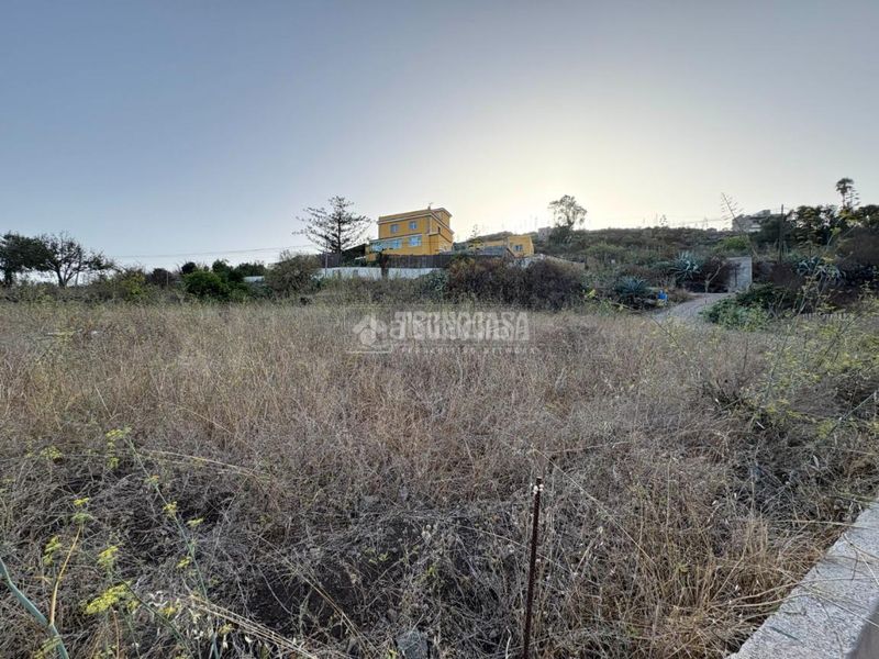 Foto 55a98b05-88c7-46ca-9635-60b3fc35988a. Finca rústica a Las Mesas - El Toscón Palmas de Gran Canaria (Las)