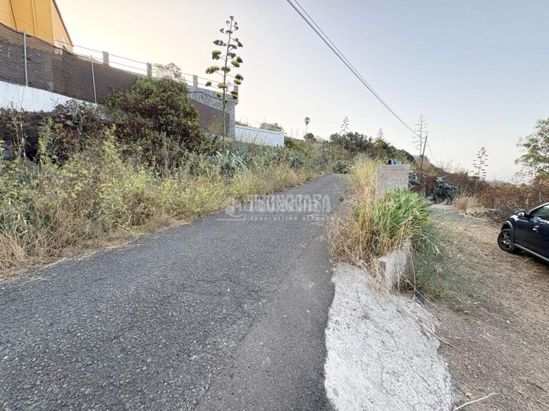 Foto 7ae6c455-2e59-4388-9f29-eda5edc6e678. Finca rústica a Las Mesas - El Toscón Palmas de Gran Canaria (Las)