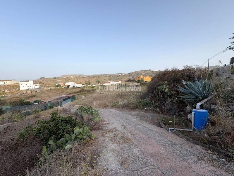 Foto 81907308-1417-45c6-a002-f1d3f32a4286. Finca rústica a Las Mesas - El Toscón Palmas de Gran Canaria (Las)