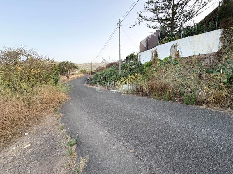 Foto 874b0eb6-20e9-4b54-85b8-554e4aa58d5a. Finca rústica a Las Mesas - El Toscón Palmas de Gran Canaria (Las)