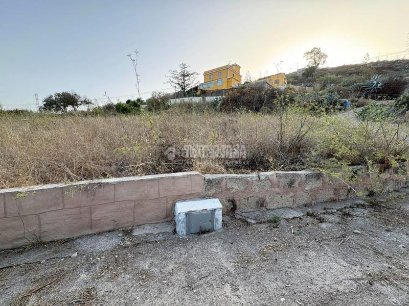 Foto a730db18-14af-4145-b7e1-2a2cacb8d5c4. Finca rústica a Las Mesas - El Toscón Palmas de Gran Canaria (Las)