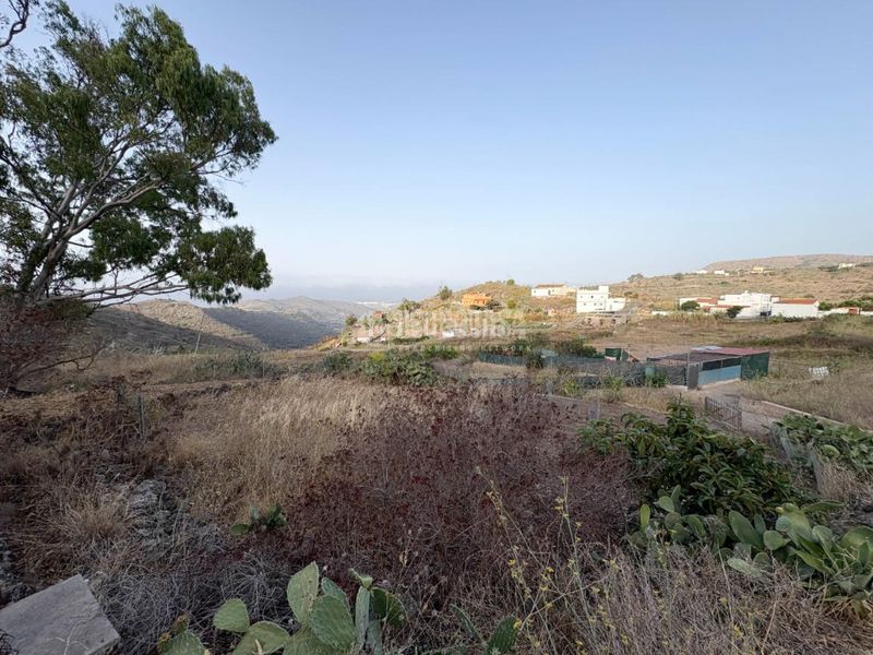 Foto a84bbec7-bd74-45b8-91bc-8d0a5e9761e3. Finca rústica a Las Mesas - El Toscón Palmas de Gran Canaria (Las)