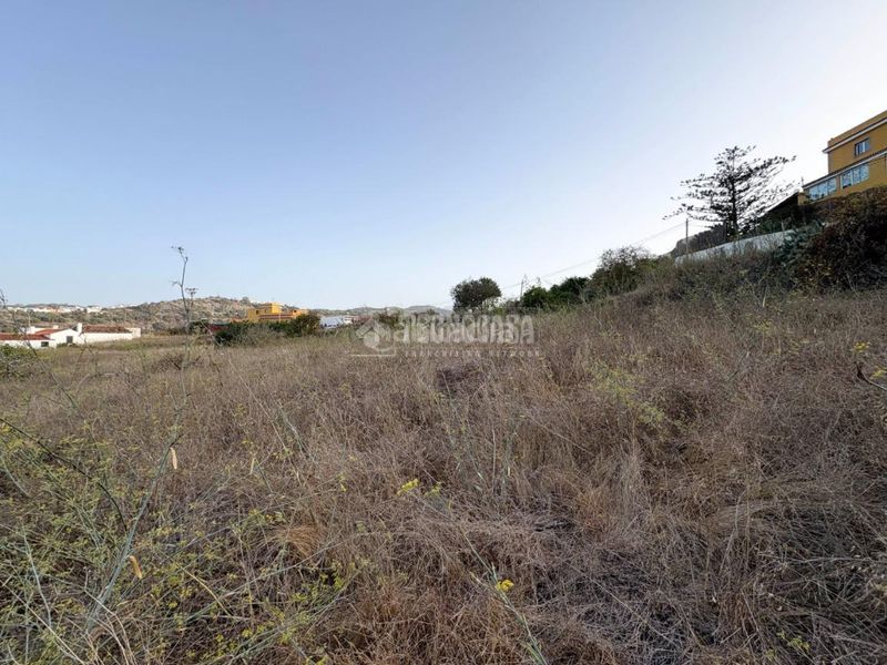 Foto be09aeac-846e-4711-8fac-d40fc1675bca. Finca rústica a Las Mesas - El Toscón Palmas de Gran Canaria (Las)