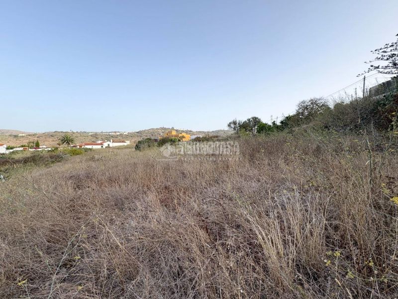 Foto cbcf58be-551e-47d4-8771-23f4622f1de3. Finca rústica a Las Mesas - El Toscón Palmas de Gran Canaria (Las)