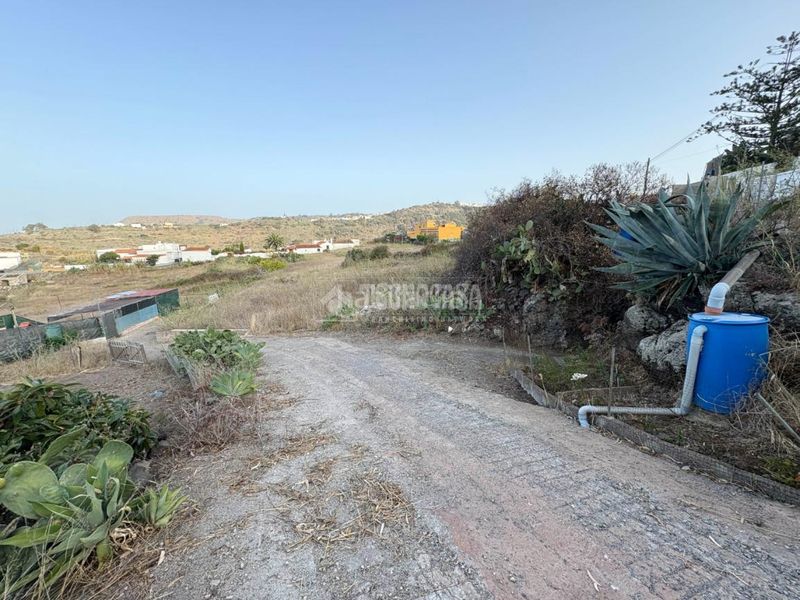 Foto e1757e13-588e-4647-a4aa-ef867804c63e. Finca rústica a Las Mesas - El Toscón Palmas de Gran Canaria (Las)