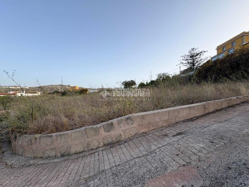 Foto f42203d3-5594-4c11-83f3-eeb1ef97ffd2. Finca rústica a Las Mesas - El Toscón Palmas de Gran Canaria (Las)