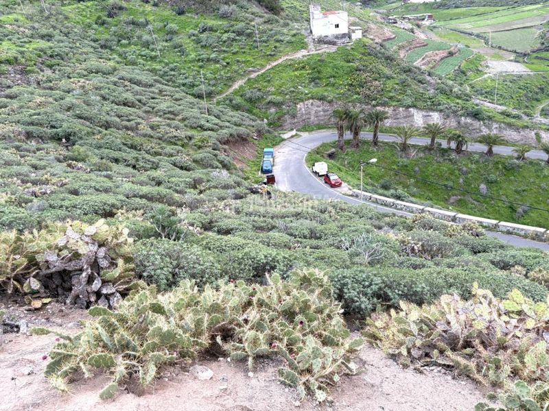 Foto 01951010-5b01-4a35-8d74-1e141e82ee80. Finca rústica a Tenoya Palmas de Gran Canaria (Las)