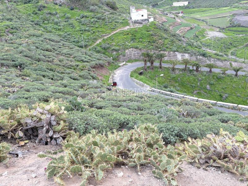 Foto a32ba363-7c07-410c-863e-c5534f9bdf8e. Finca rústica a Tenoya Palmas de Gran Canaria (Las)