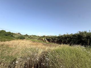 Rural plot in San José del Álamo - El Hornillo. Terrenos en venta en las palmas de gran canaria