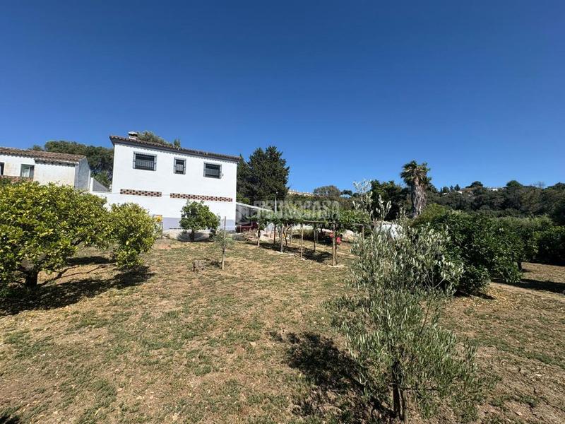 Foto 430e9e7e-f0ab-4fa8-88f9-bbc4df06807b. Finca rústica a San Roque pueblo San Roque