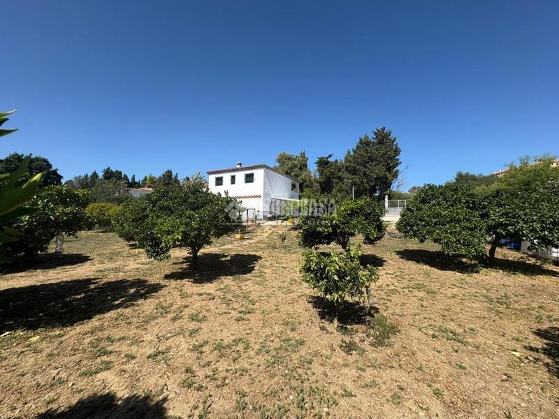 Foto 91e62d48-859d-4b95-a2f8-dd03f3ebb783. Finca rústica a San Roque pueblo San Roque