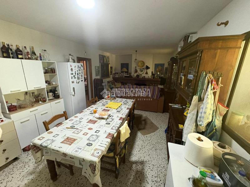 Foto 9a13d0d1-5f0a-4c69-a5b8-513d9d91144a. Finca rústica a San Roque pueblo San Roque