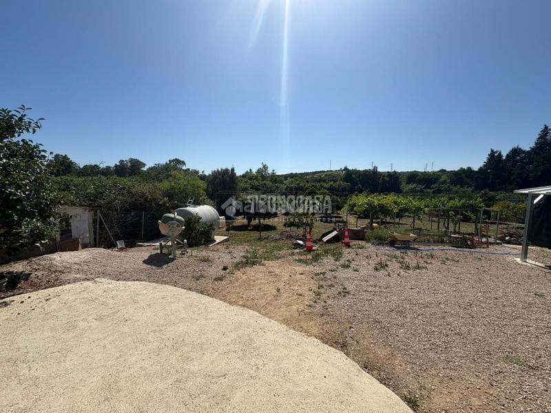 Foto c0a9596a-7c58-4149-8557-035bda0f29a4. Finca rústica a San Roque pueblo San Roque