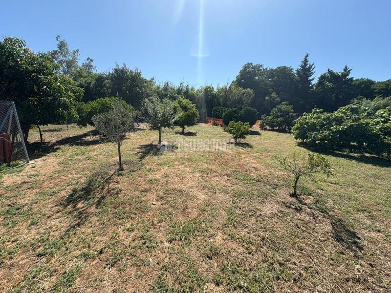 Foto c11c53b9-61e5-407a-b553-7b56f49eaba5. Finca rústica a San Roque pueblo San Roque