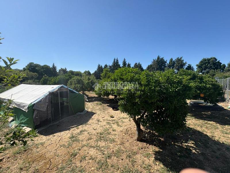 Foto d10f8500-452d-457f-a4a4-cca809cad565. Finca rústica a San Roque pueblo San Roque