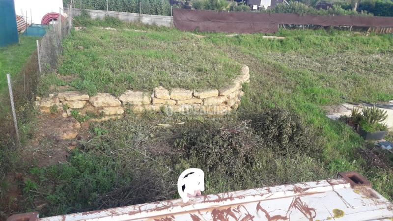 Foto 2b39a342-8549-49b2-8d72-4f4e00d0279f. Finca rústica terrenos en venta en San Roque pueblo San Roque