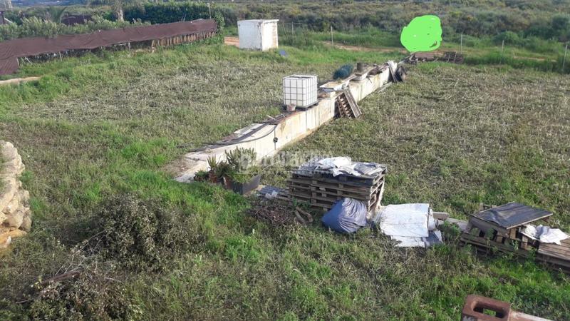 Foto 57046c97-b1ae-47a4-bc02-d38ea48570fa. Finca rústica terrenos en venta en San Roque pueblo San Roque