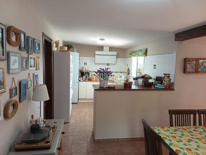 Foto 29e46f21-1719-4d8d-82a3-11134820dcc3. Finca rústica a San Roque pueblo San Roque