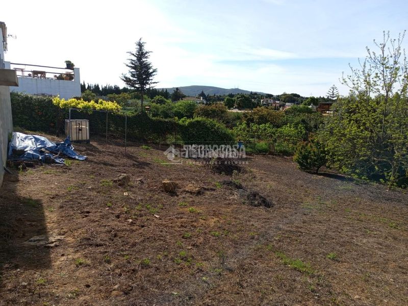 Foto 5245a25c-2a21-48bc-a0c7-3e16748202b4. Finca rústica a San Roque pueblo San Roque