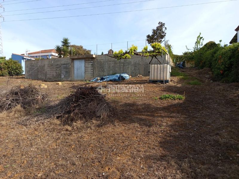 Foto 76cf9353-23f0-448e-bd67-02cca3799f8b. Finca rústica a San Roque pueblo San Roque