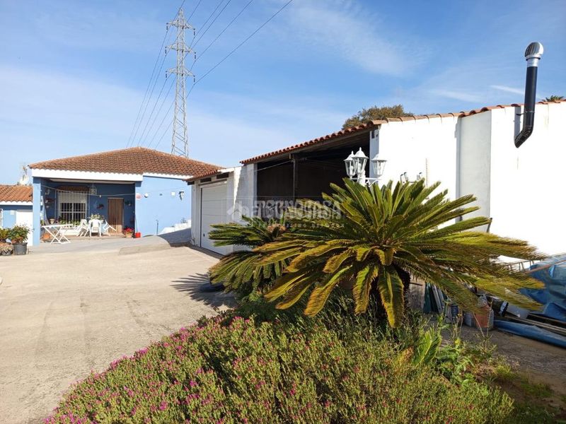 Foto 7cc26c44-eaf2-4ac3-9d3c-ef541c5fa630. Finca rústica a San Roque pueblo San Roque