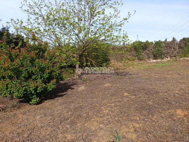 Foto 9011f0df-daf1-4b6d-979b-647d8b5c04bf. Finca rústica a San Roque pueblo San Roque