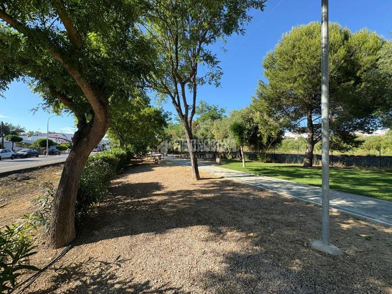 Foto a3b84107-64ed-498a-b8d9-ef7003ff8658. Local comercial nave en venta en Taraguilla-Estación San Roque