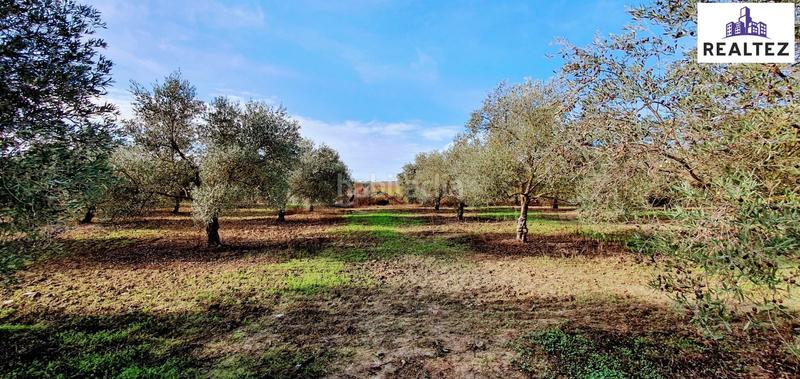 Foto b5db8a35-803d-469d-86d5-bf1d630bdad5. Casa parcela con casa hipotecable en Lebrija