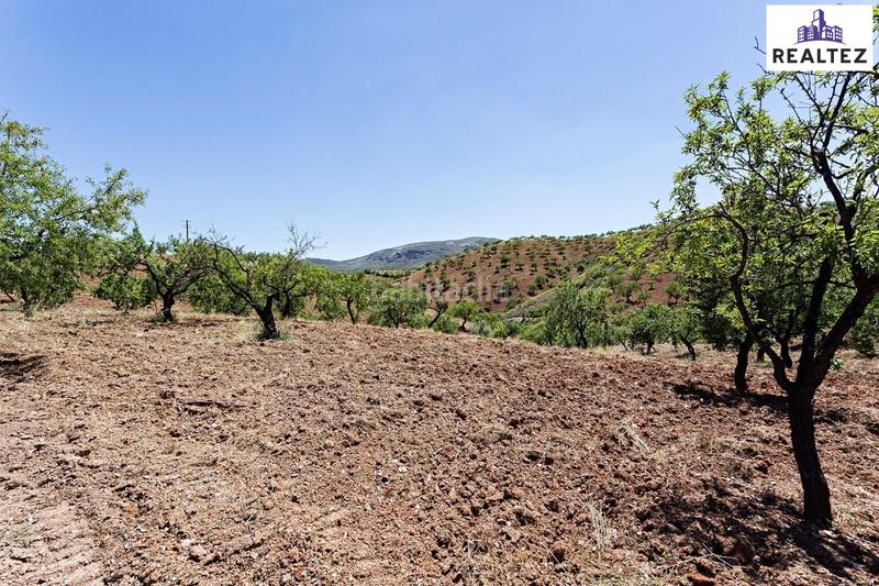 Foto 5a236746-3c14-4b9b-893c-48499ebcb9dc. Masía finca de más de 25 hectáreas con almendros ecológicos y cortijo en Cádiar