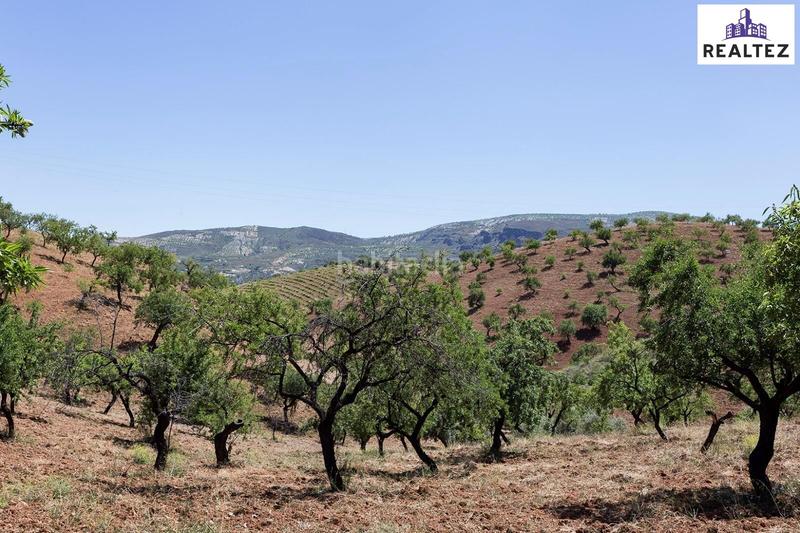 Foto 5d92633c-2fa7-4cf2-b291-3854a80ccc1a. Masía finca de más de 25 hectáreas con almendros ecológicos y cortijo en Cádiar
