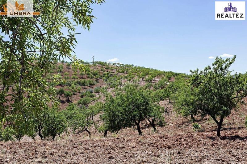 Foto 89a92296-7fac-48af-9150-e67e5624ccd0. Masía finca de más de 25 hectáreas con almendros ecológicos y cortijo en Cádiar