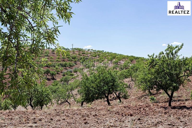 Foto c6b2f804-19ae-4023-b9d4-4767472dbbe0. Masía finca de más de 25 hectáreas con almendros ecológicos y cortijo en Cádiar