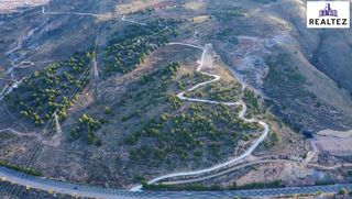Finca r�stica en Alcolea. Finca en venta en alcolea con una nave construida y cultivo de a