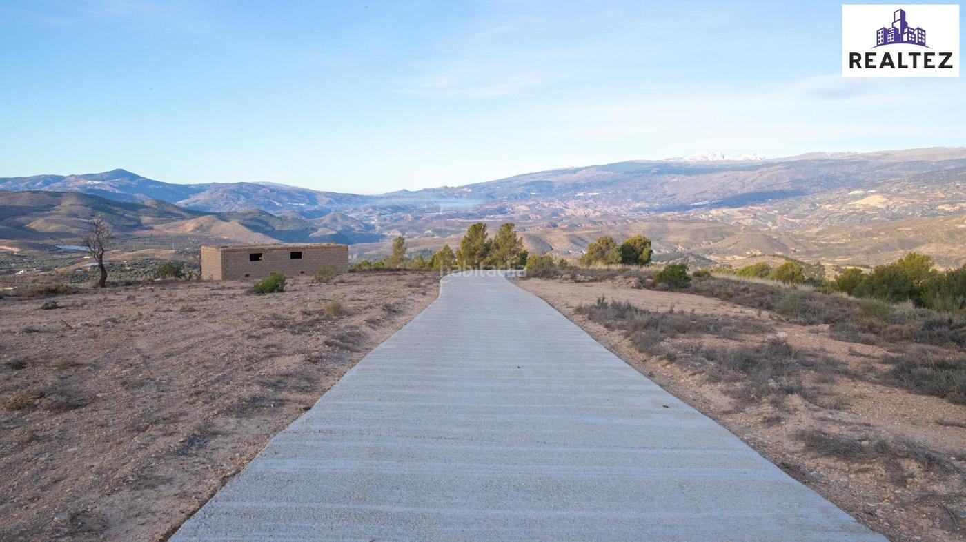 FINCA EN VENTA EN ALCOLEA CON UNA NAVE CONSTRUIDA Y CULTIVO DE A Alcolea