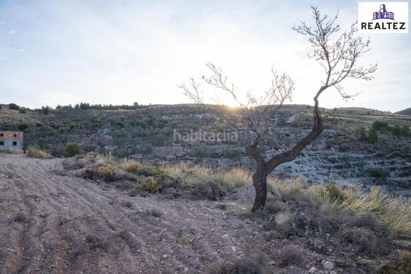 Foto 2143d55c-b2b3-4dc2-b7d2-fba6a3f84d2f. Finca rústica a Alcolea