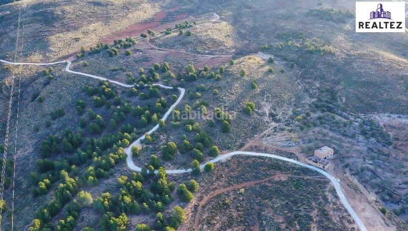 Foto 3099c7a2-09a1-43bd-b0a6-53025bd53396. Finca rústica finca en venta con una nave construida y cultivo de almendros en producción. en Alcolea