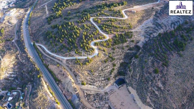 Foto 3514a83a-ad2a-4ddc-850f-384fa9c8a9eb. Finca rústica finca en venta con una nave construida y cultivo de almendros en producción. en Alcolea