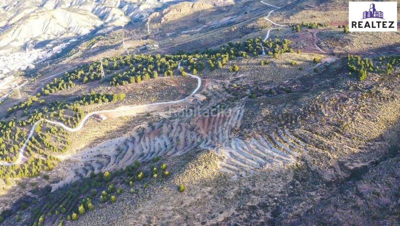 Foto 423ab2be-670d-4305-806a-7eb506c4ee11. Finca rústica finca en venta con una nave construida y cultivo de almendros en producción. en Alcolea