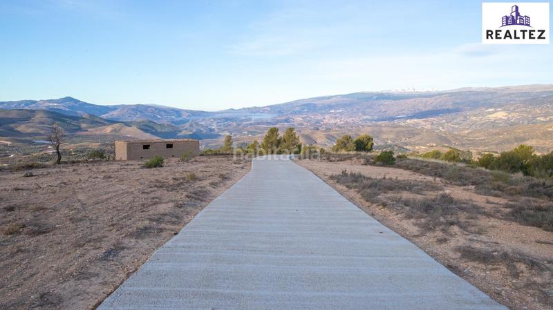 Foto 46255a5c-dc0a-406e-8a88-bd2e0a24e29c. Finca rústica finca en venta con una nave construida y cultivo de almendros en producción. en Alcolea