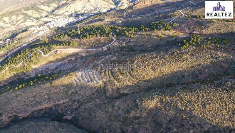 Foto 5533ce3a-385f-4a1d-ae89-16f0b9de9502. Finca rústica finca en venta con una nave construida y cultivo de almendros en producción. en Alcolea