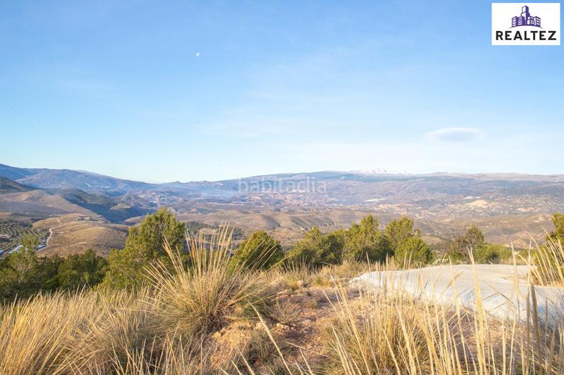 Foto 5ec66771-02db-4509-95b6-bbebf048ac41. Finca rústica finca en venta con una nave construida y cultivo de almendros en producción. en Alcolea