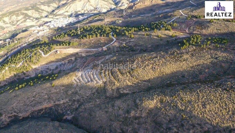 Foto 86a598a7-66b9-48bb-9732-f6a0c251a4e1. Fondo rustico in Alcolea