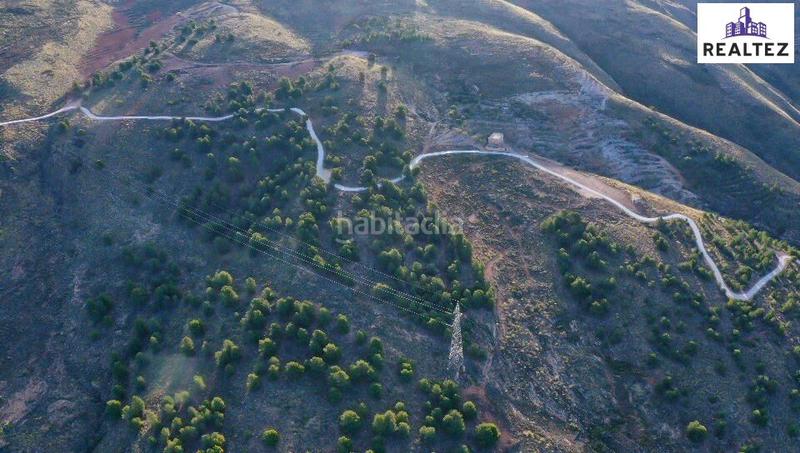 Foto c81295a8-17a1-4d1a-9e16-2fa71f41288a. Finca rústica finca en venta con una nave construida y cultivo de almendros en producción. en Alcolea