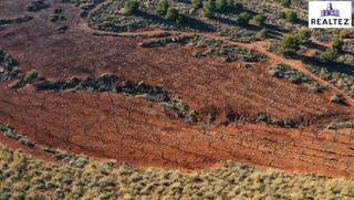 Propriété à Alcolea. Terreno en venta en alcolea con almendros ecológicos en plena pr