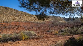 Landgut in Alcolea. Terreno en venta en alcolea con almendros ecológicos en plena pr